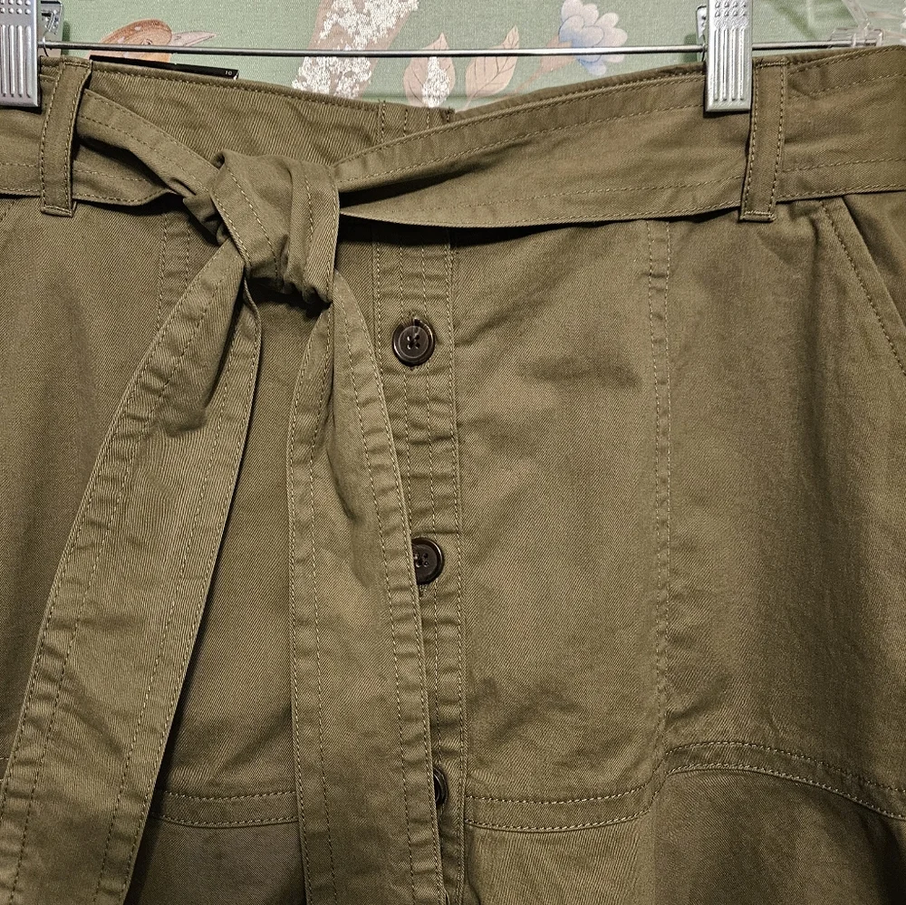 Banana Republic NWT Army Green 10 Petite - Picture 2 of 7